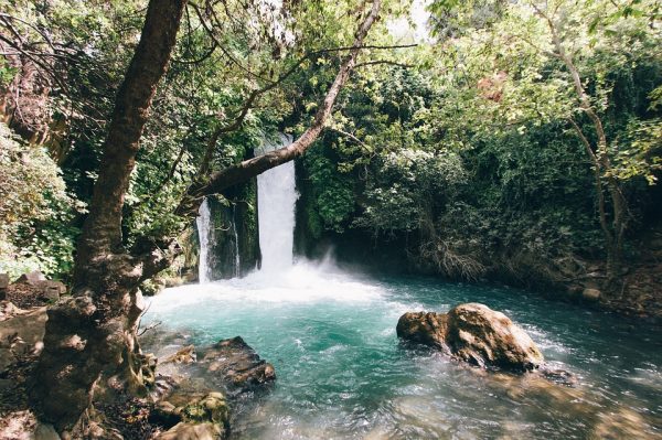 cascadas de agua en una exhuberante vegetación