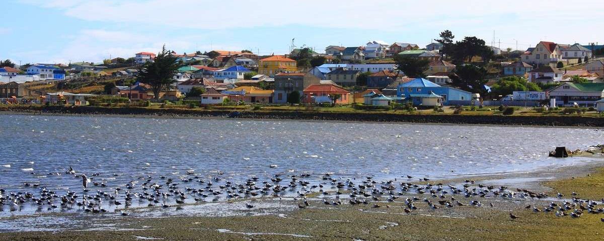 porvenir en chile